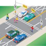 Drivers and cyclists must stop before the line and yield to pedestrians until pedestrians have completely crossed the road and cleared the roadway