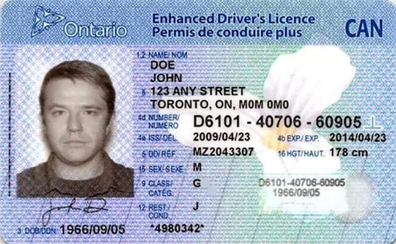 THIS STEP-BY-STEP DRIVER’S LICENSE ARTICLE IS FOR YOU!